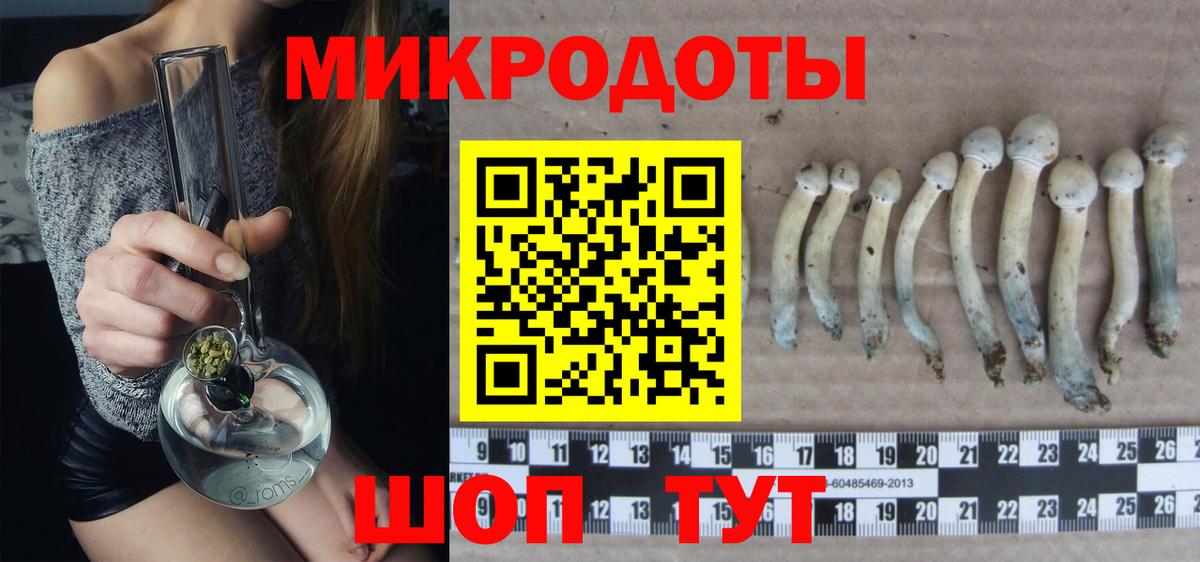 Псилоцибиновые грибы MAGIC MUSHROOMS  Псилоцибиновые грибы Psilocybine cubensis  Медногорск  Вход с VPN 